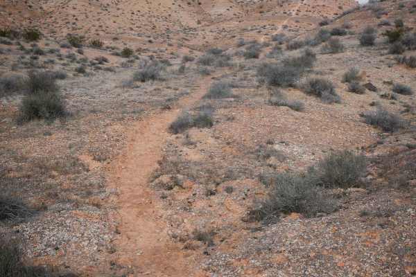 Dutchman to Powerline Single Track