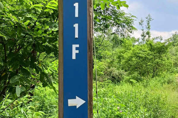 Trail 11F - Rock Run Recreation Area