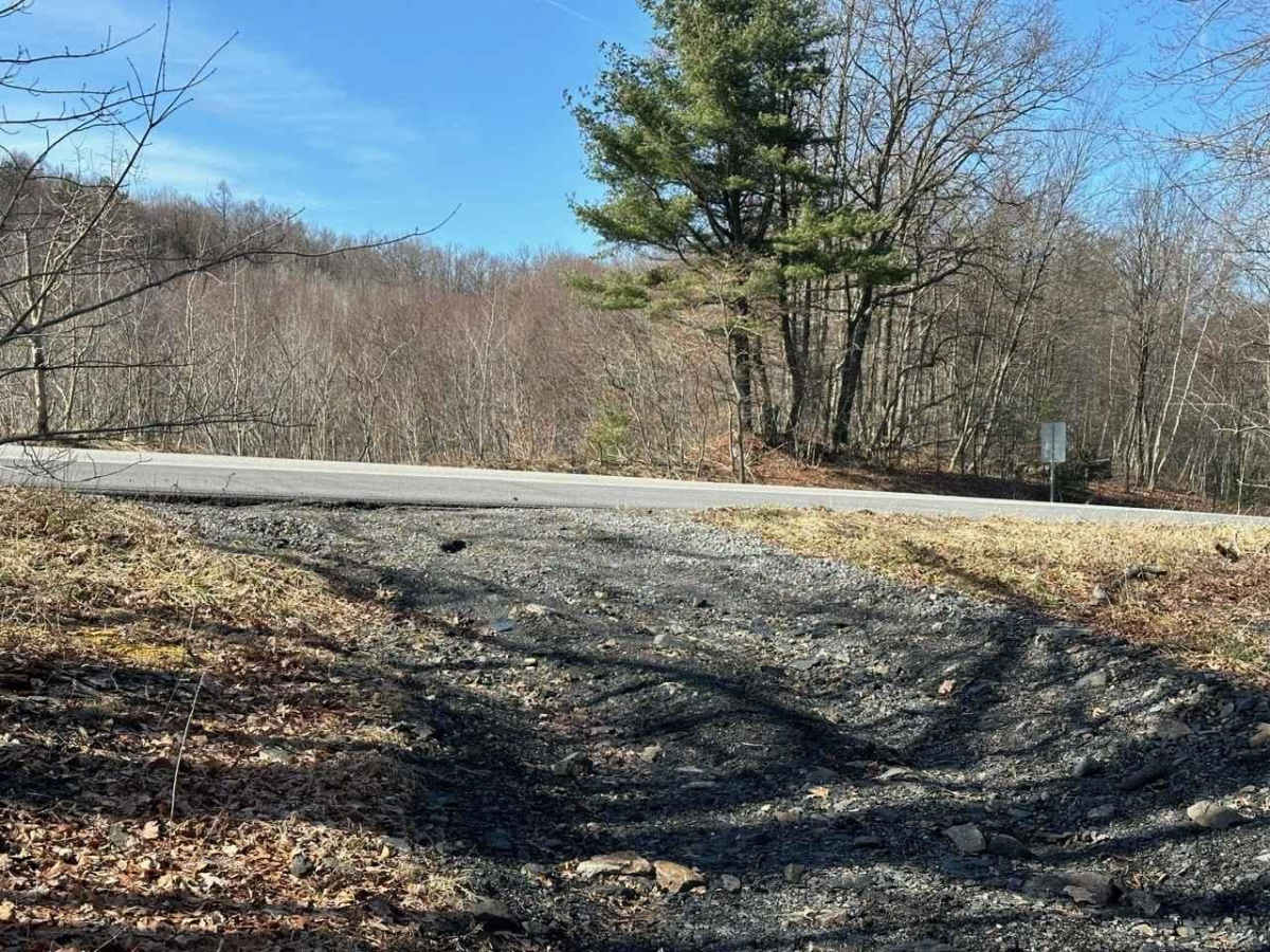 Locust Gap 38 photo 3