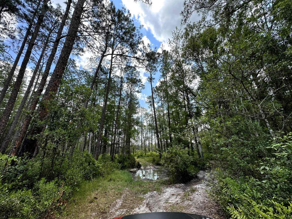Gator Hole Throughway photo 5