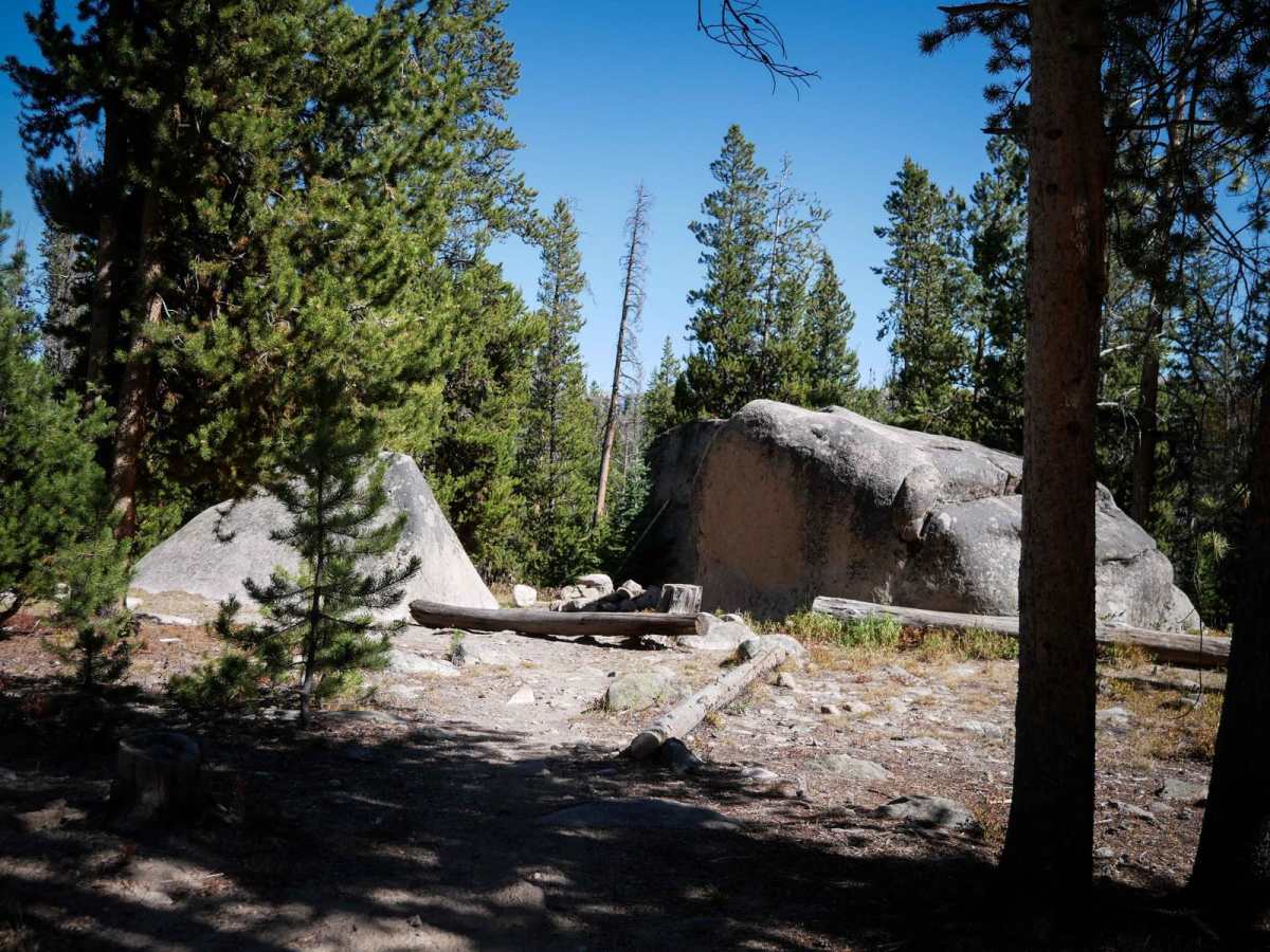 D4 trail photo