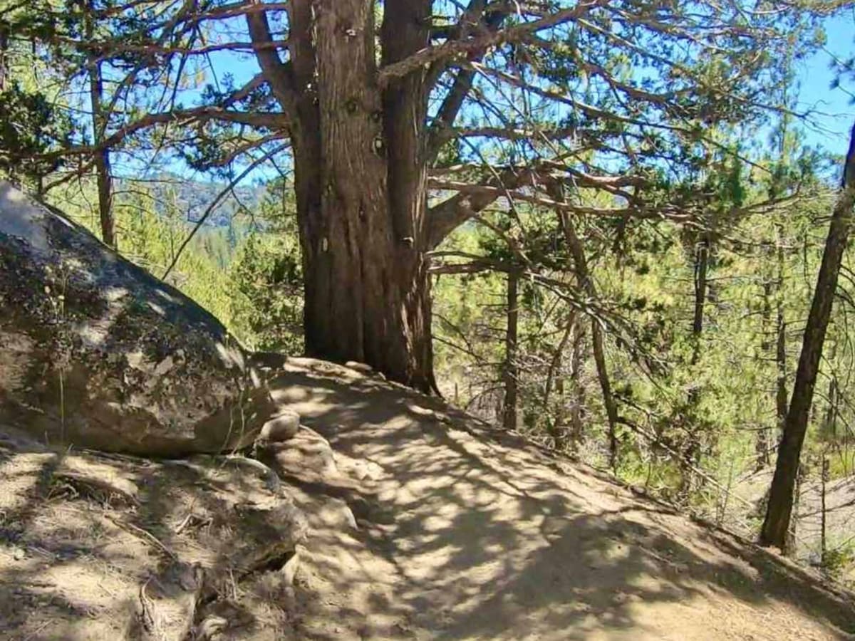 Jackass Creek photo 5
