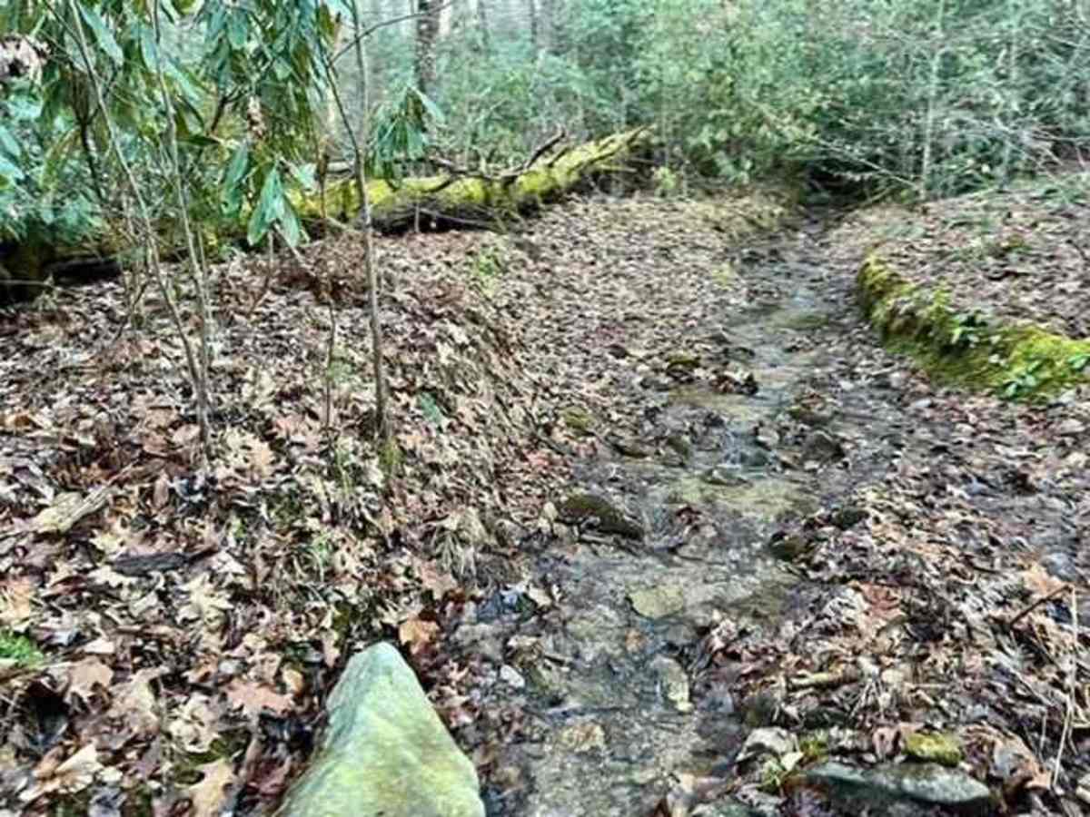 Hurricane Creek photo 5