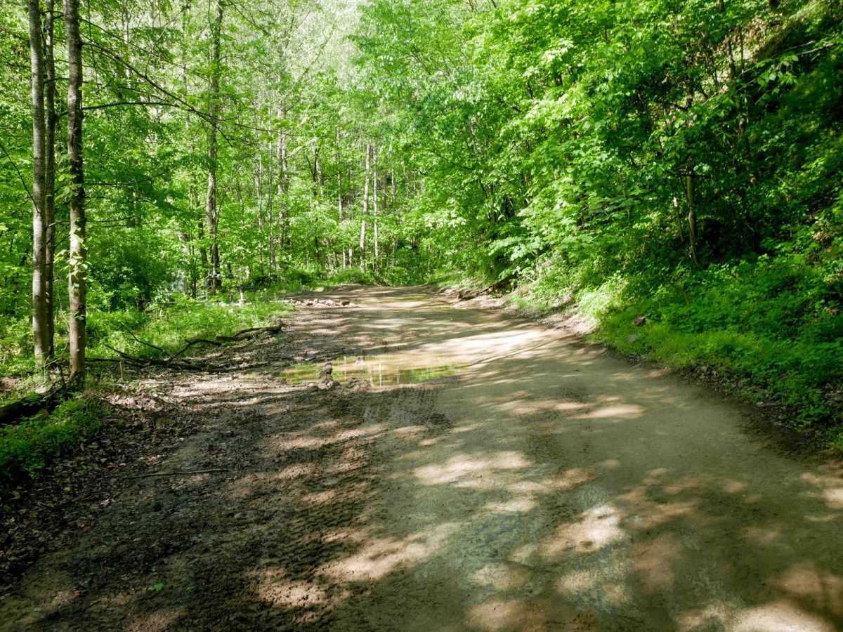 RH 12 photo 3