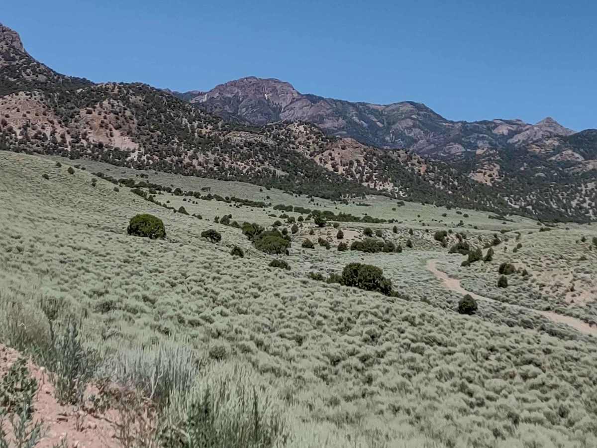 Powerline Trail photo 6