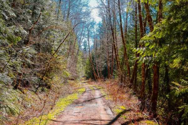 Texas Pond Road
