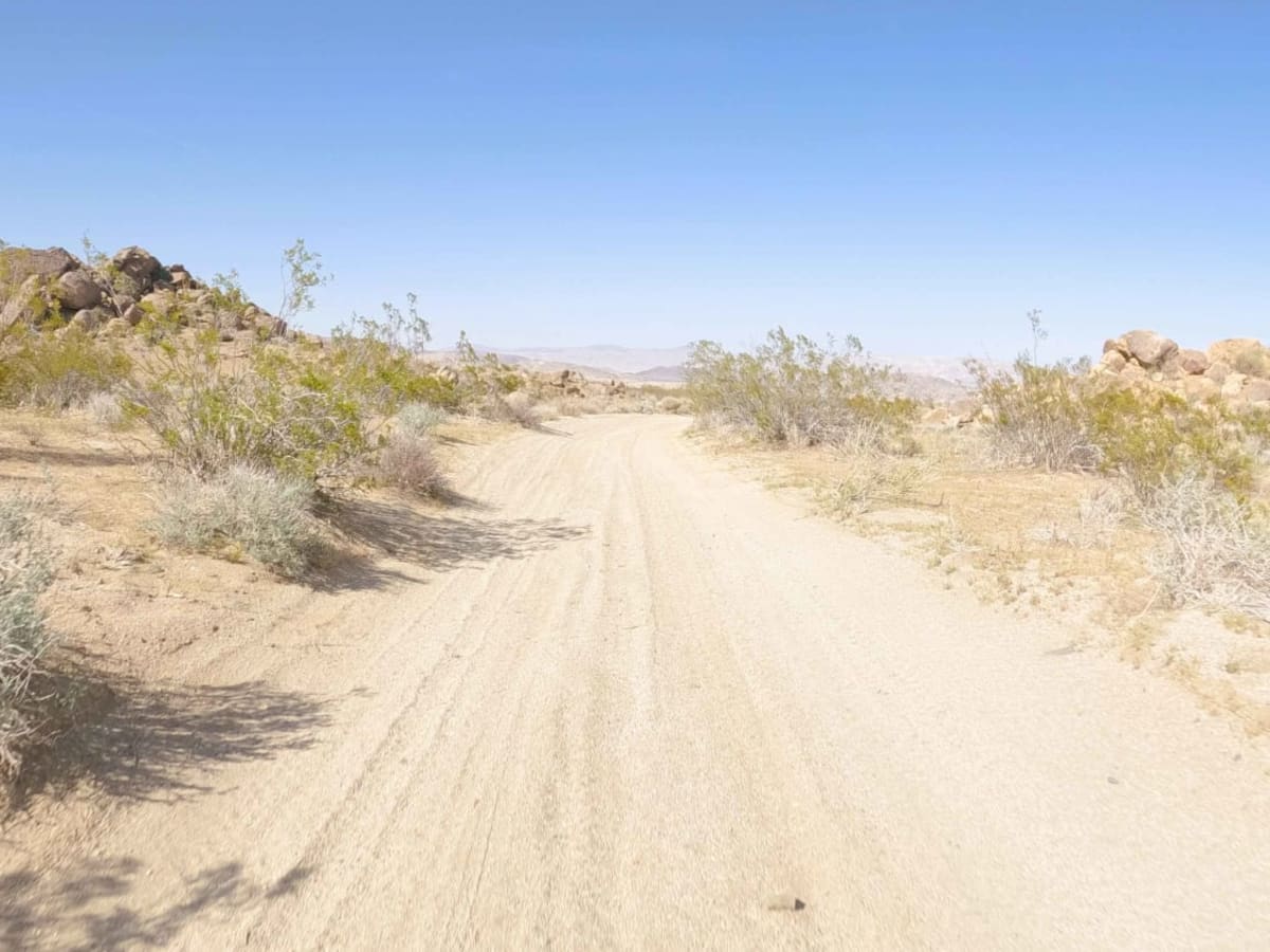 BLM C3524 photo 4