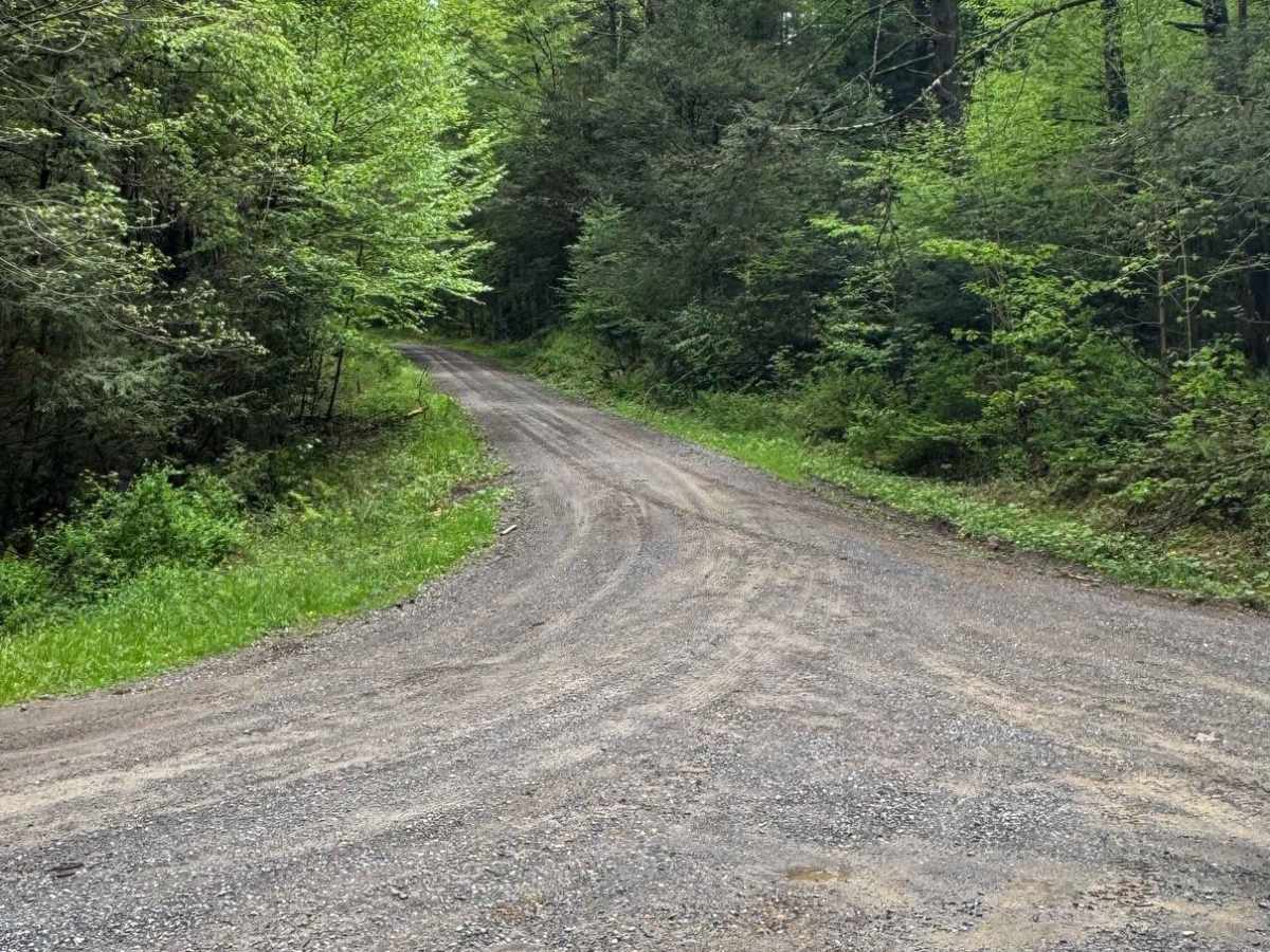 Breon Road photo 2