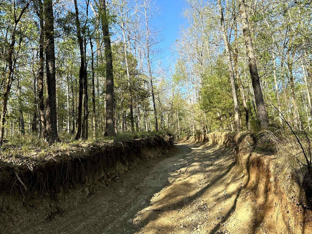Trail 22 photo 2