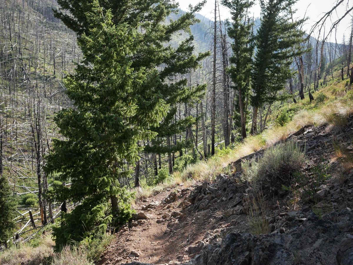 Deadwood Creek photo 3