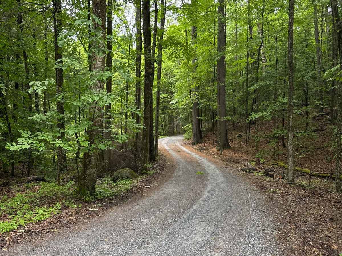 Dacy Clearing Road trail photo