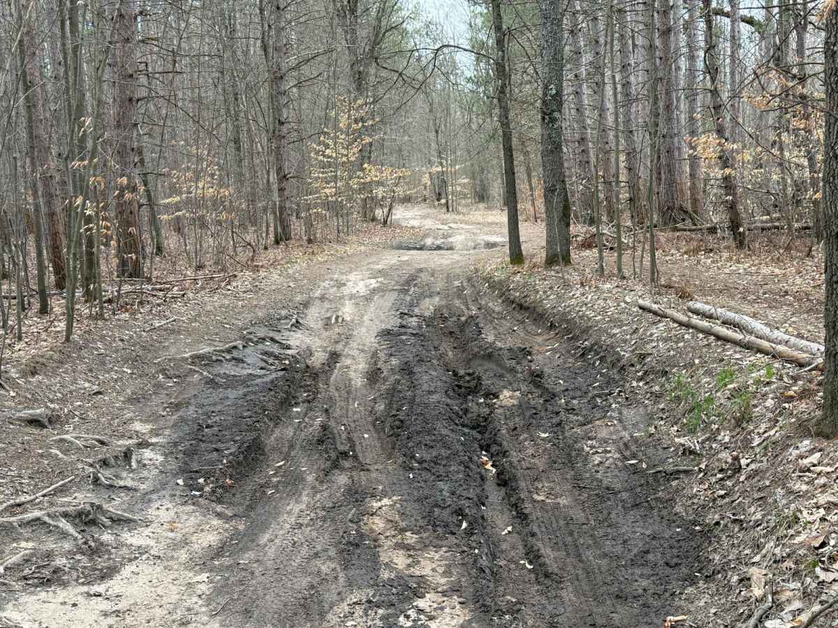 NFS 6619 trail photo