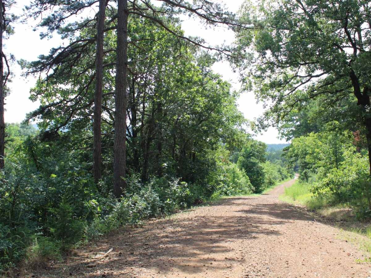 Girard Road to White Oak Road photo 6