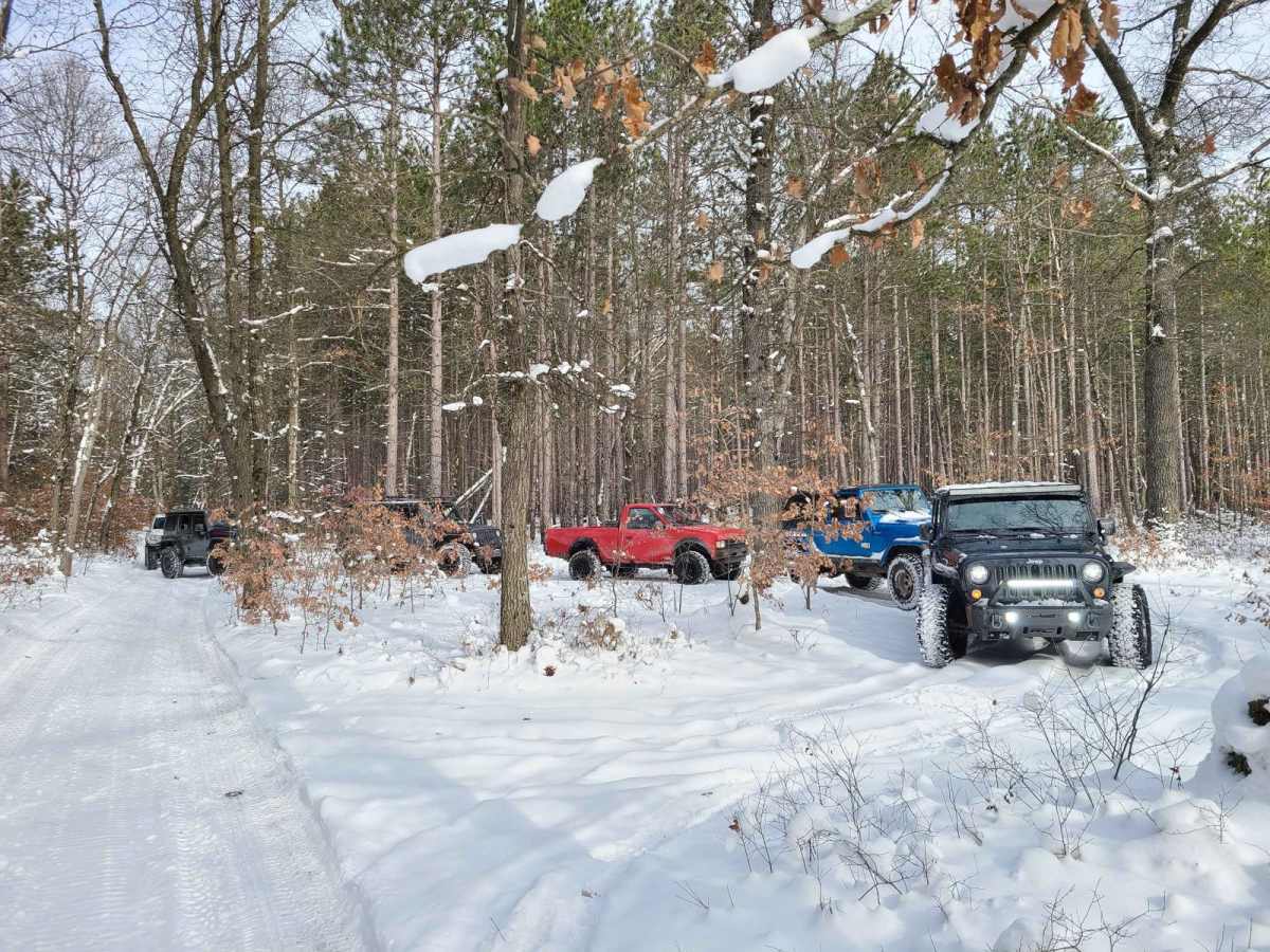 Forest Road 5300 photo 2