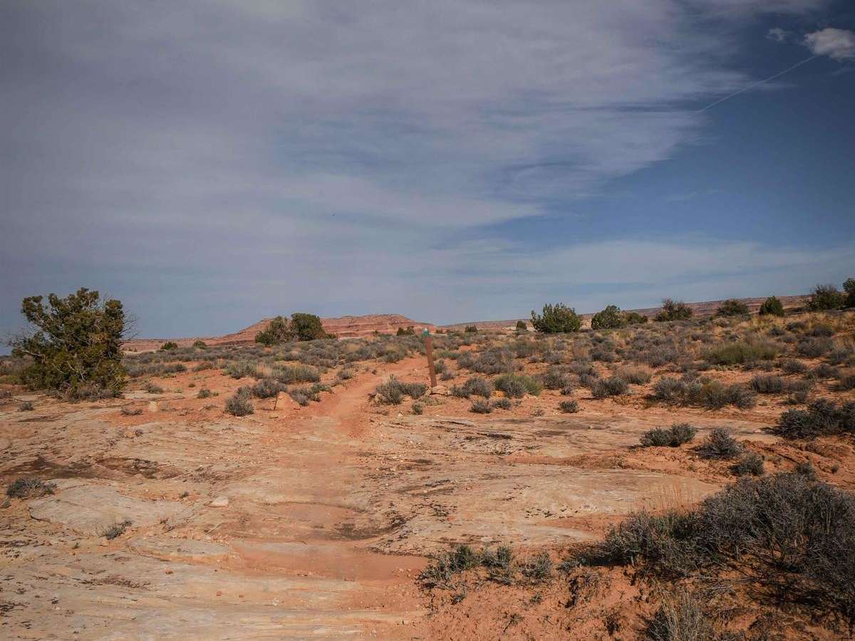 Pinnacle Trail photo 4