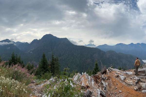 Helena Ridge
