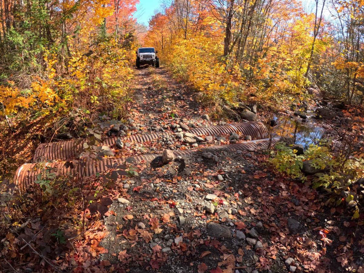 North Carp Lake Road (Tribag mine Alternate) trail photo