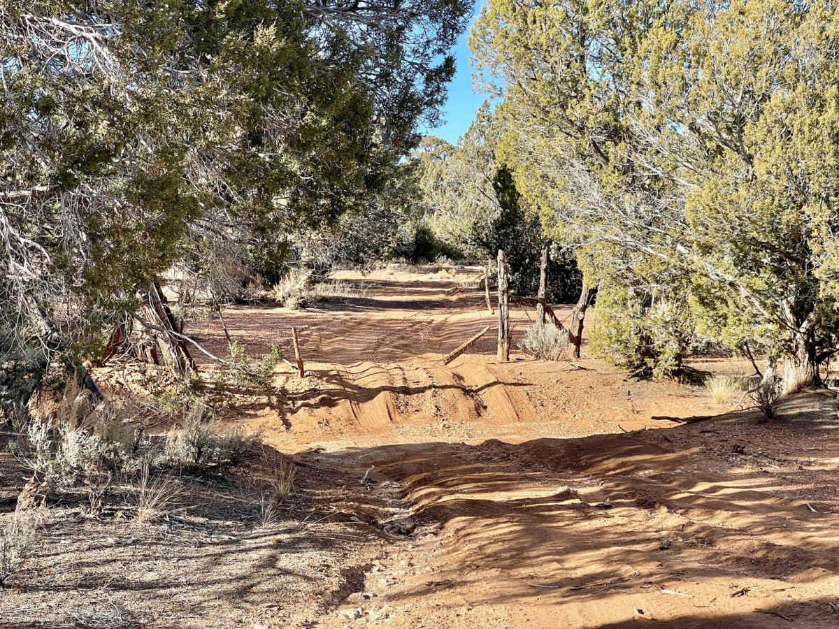 1621C Ruts and Junipers photo 3