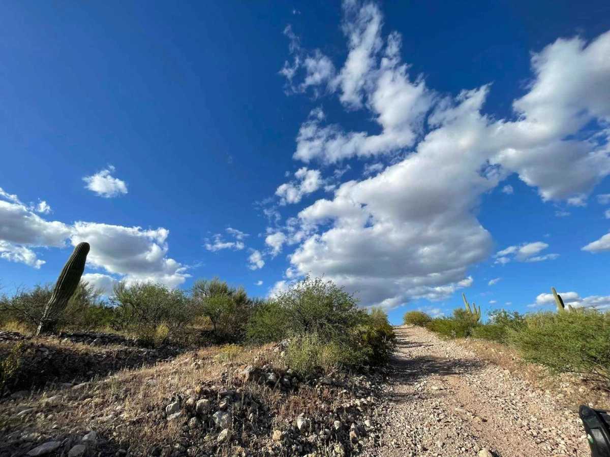 Sheep Camp Wash trail photo