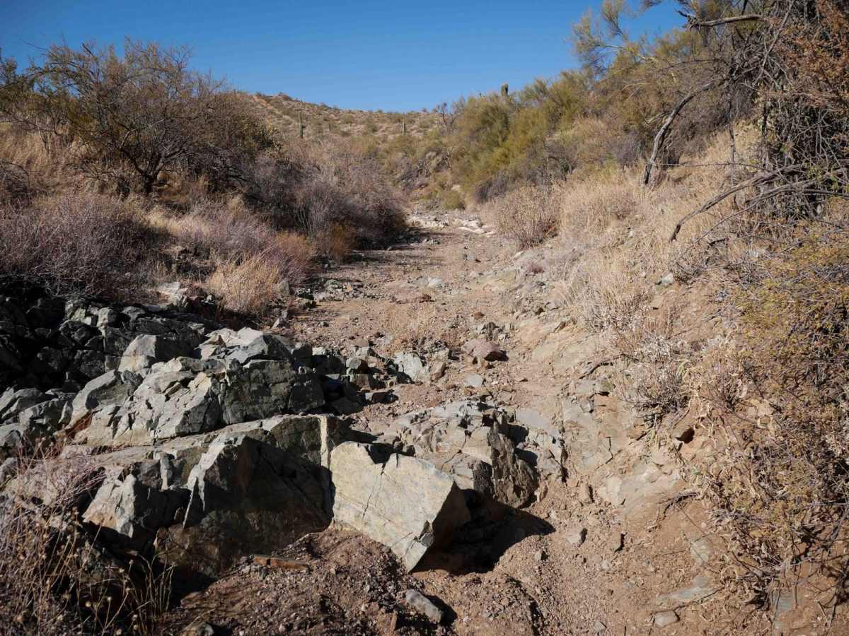 9232 trail photo