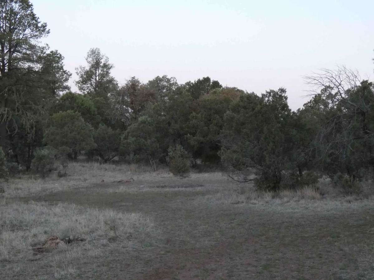 Elk Pasture photo 4