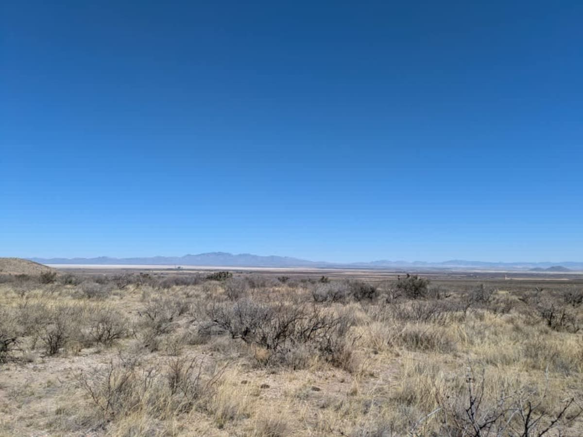 Blacktail Hill photo 6