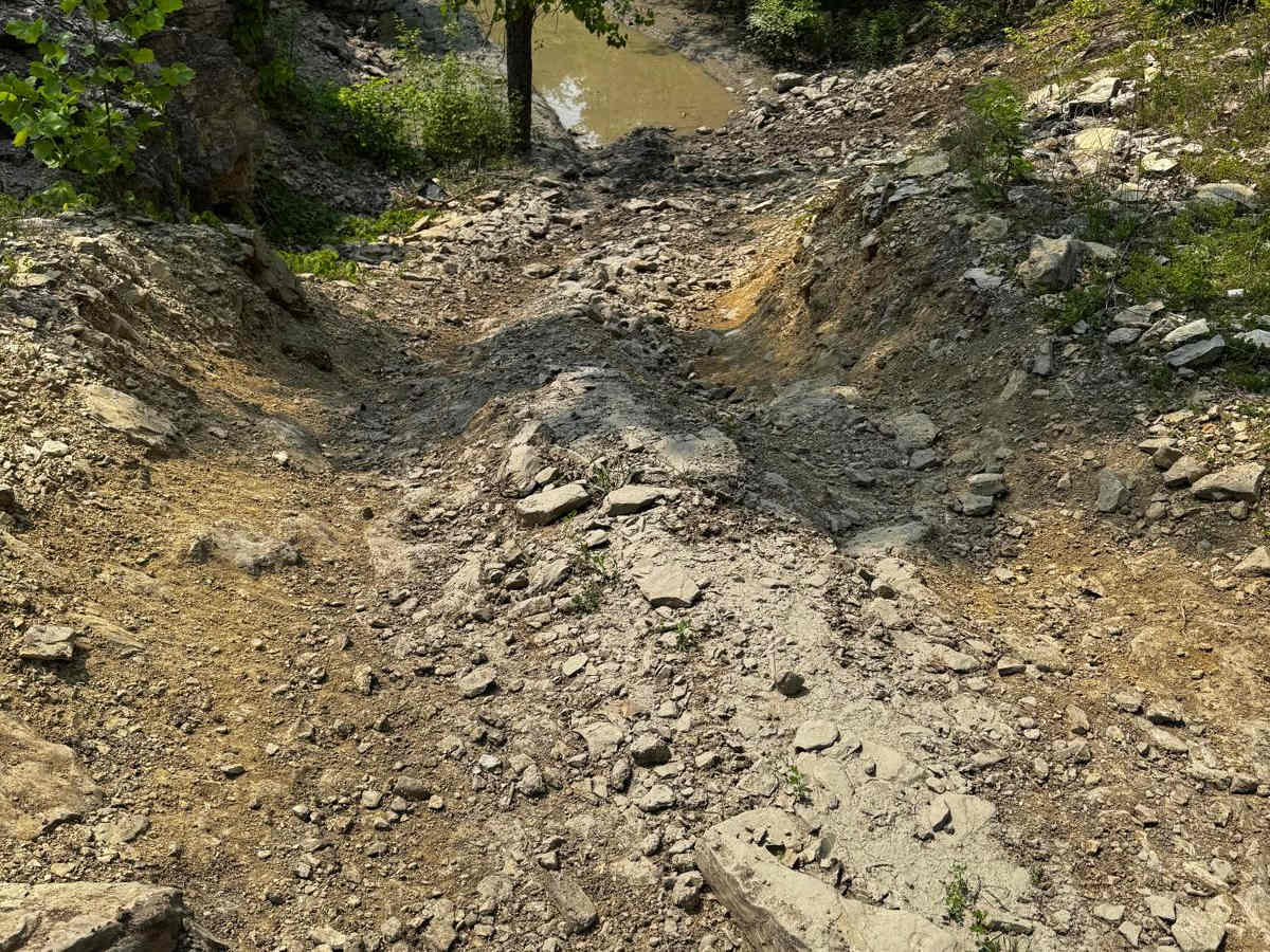 Mini Donut Bowl trail photo