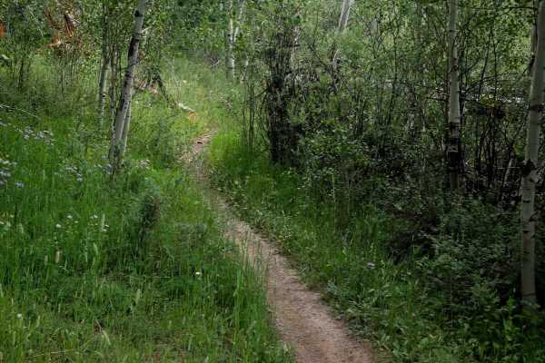 Radial Mountain Trail