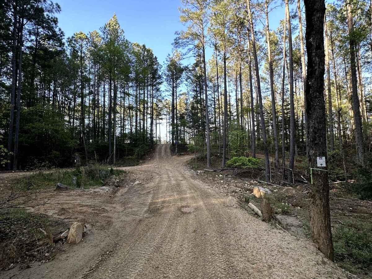 Trail 22 photo 5
