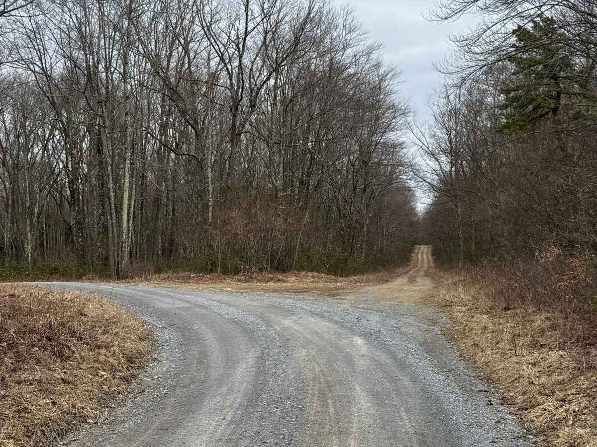 Eddy Ridge Road photo 3