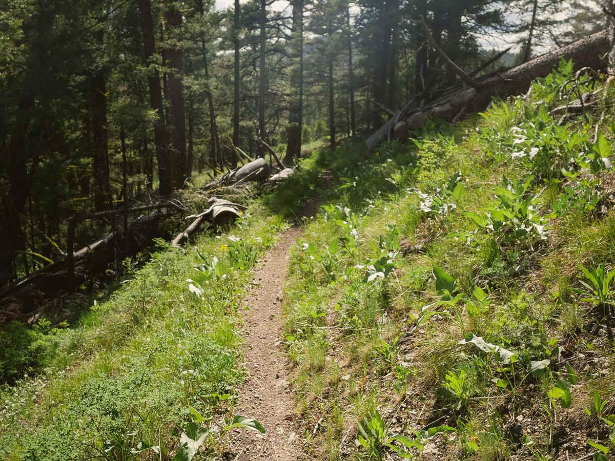 Silverleads Ridge photo 5