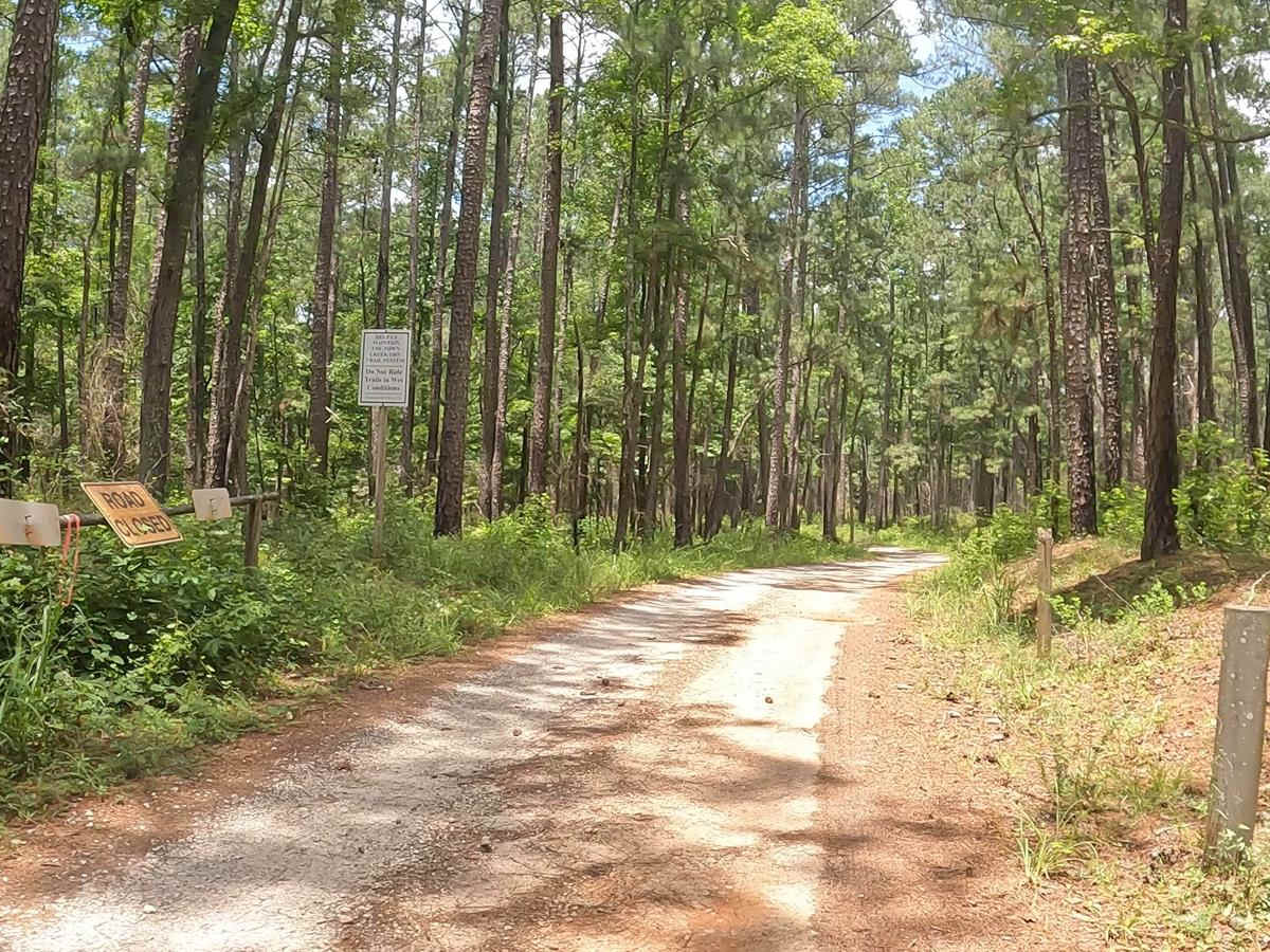 Penfield Hunt Camp Road photo 3