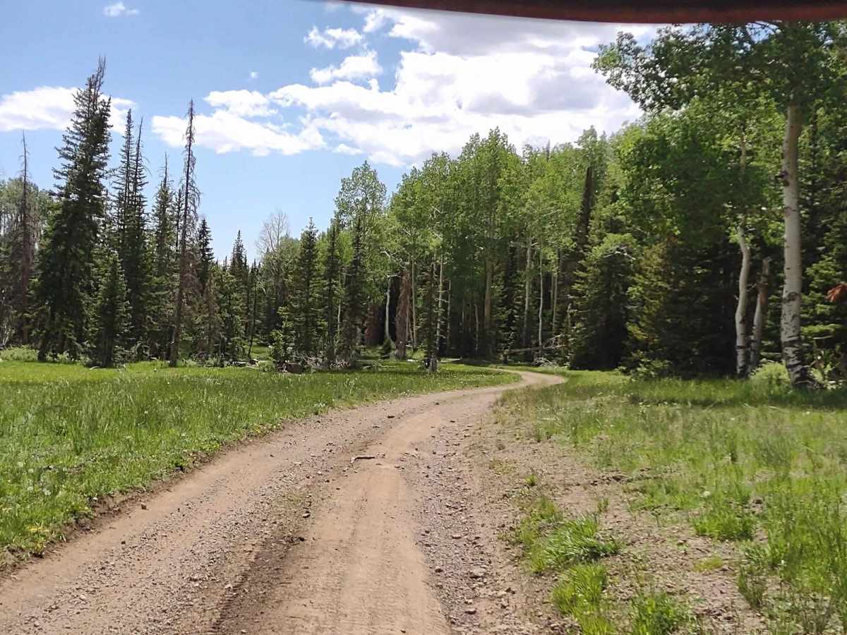 Fitzgerald's Park - FS 40182 photo 5