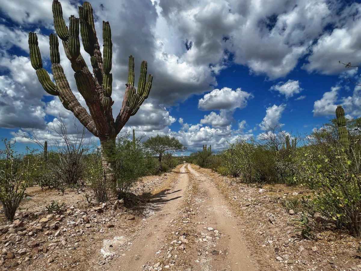 Constitucion San Luis Gonzaga trail photo