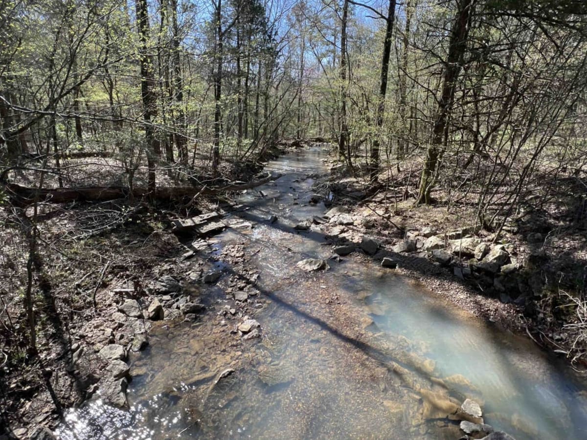 Cheyenne Road trail photo