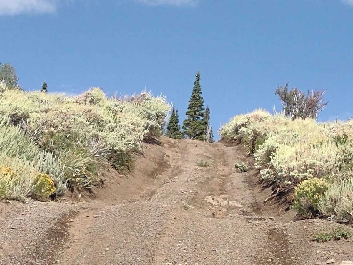 Bald Knolls photo 4