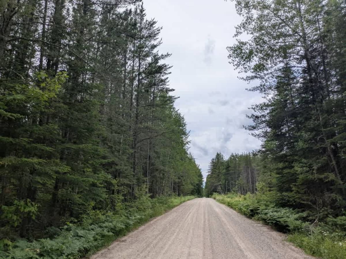 Shannon Lake Road photo 4