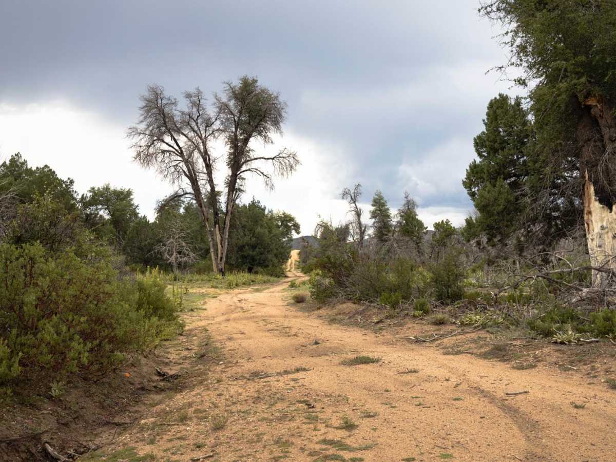 Conger Water trail photo