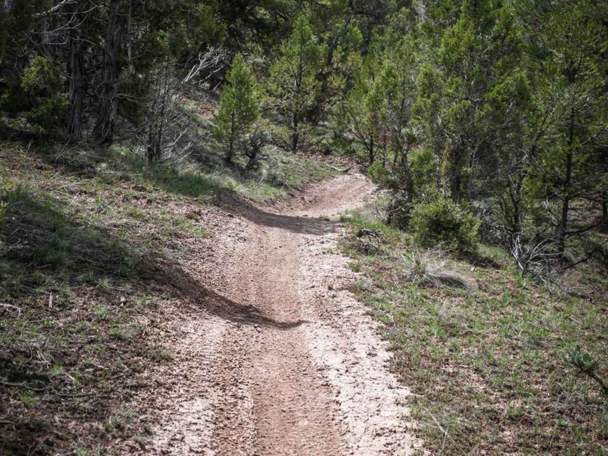 The Maze Trail photo 4