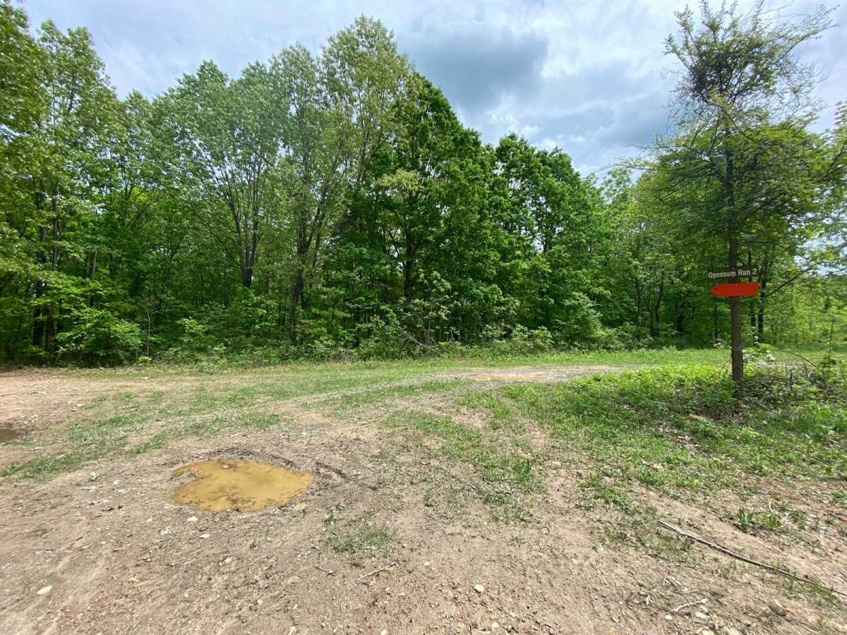 Opossum Run trail photo