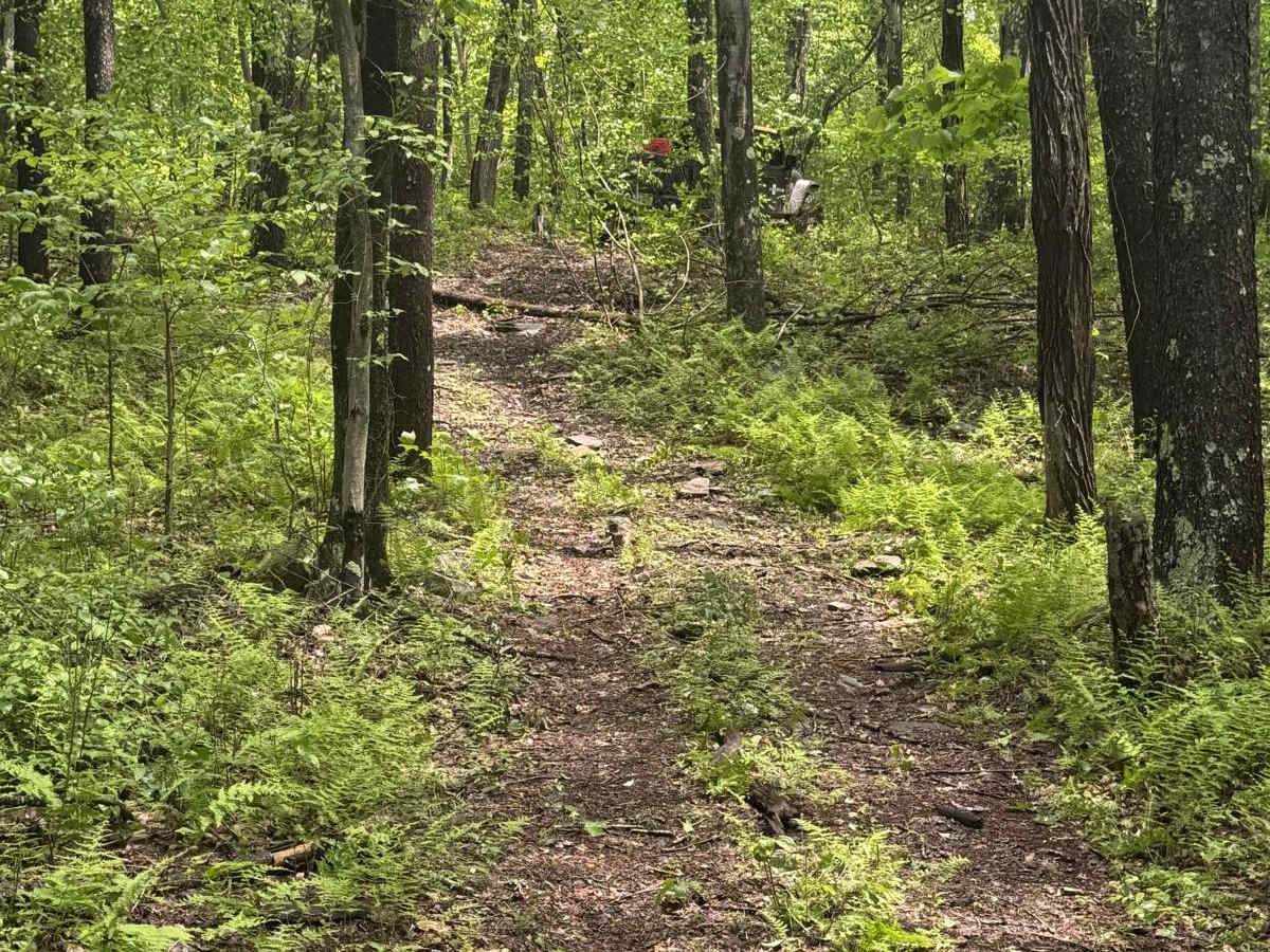1112 Green photo 4
