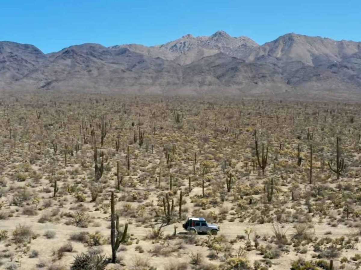 Calamajue Canyon Trail trail photo