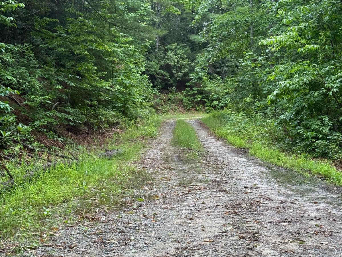 Watauga Turnpike - FS 45 photo 3