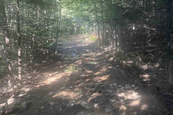Corinna Loop Trail