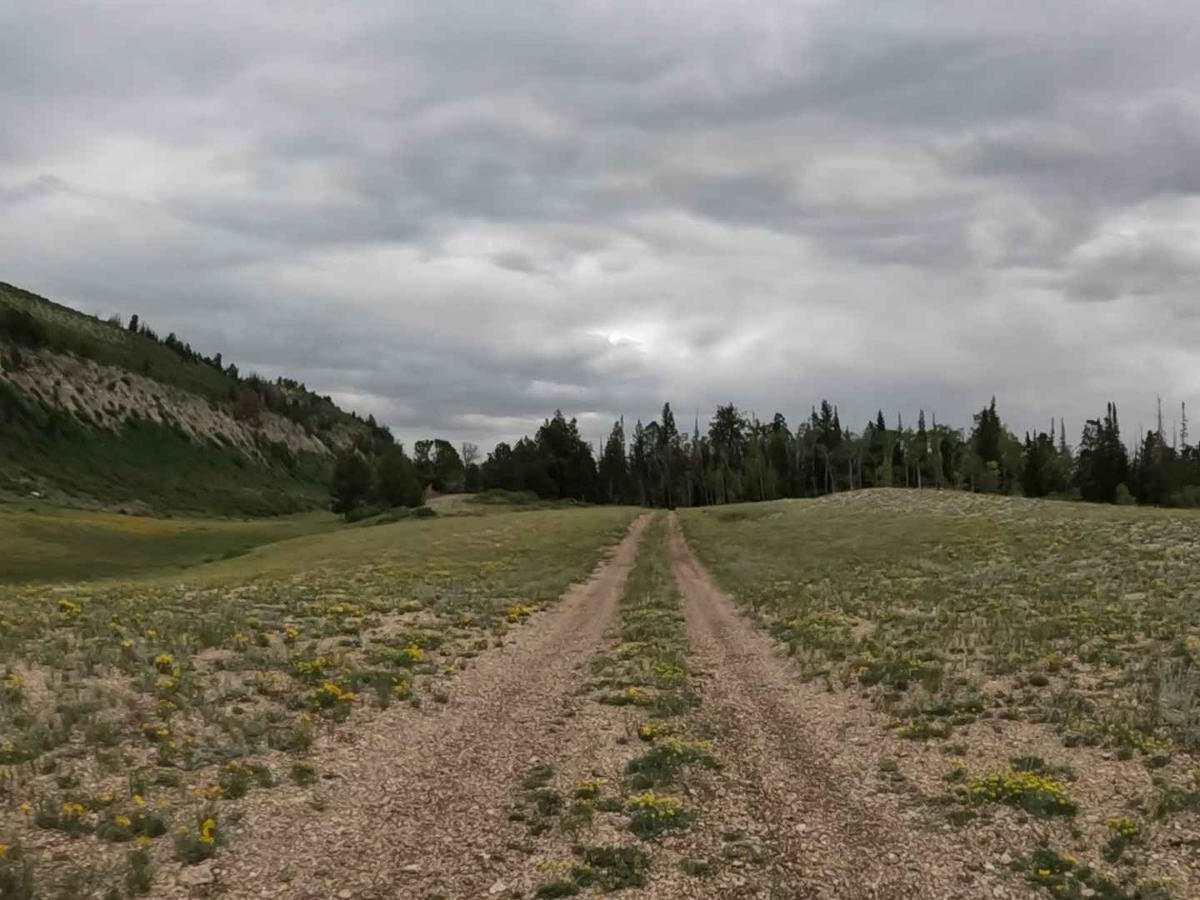 Stevens Creek South trail photo