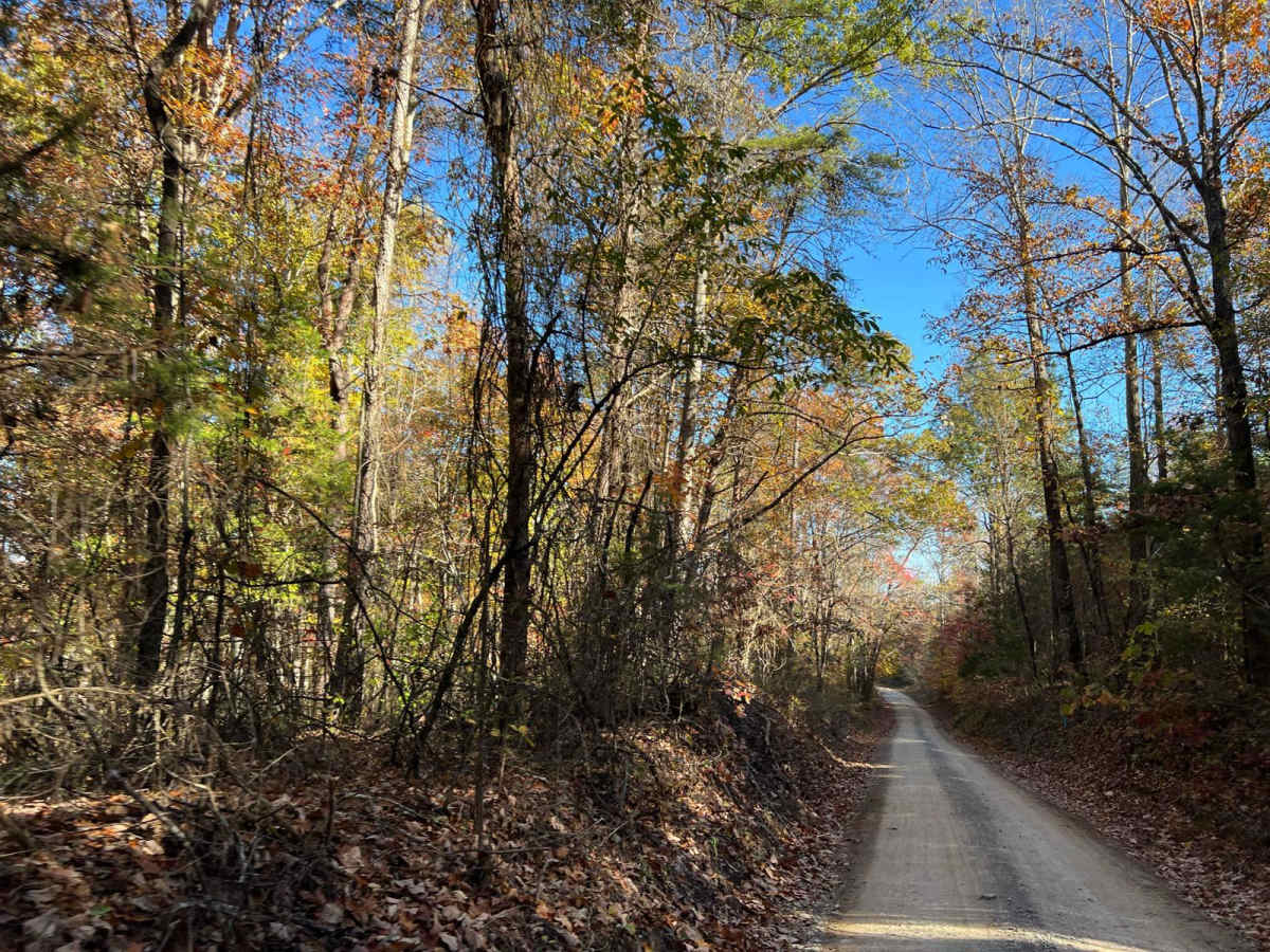 Beulah Road - FS 202 trail photo