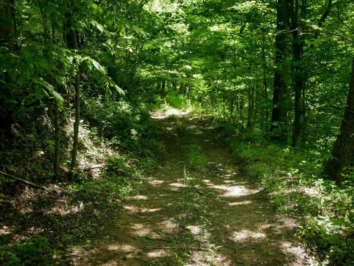 RV35 photo 4