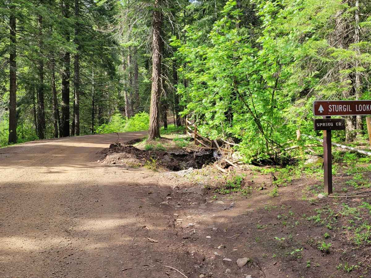 Sturgill Peak - Fire Lookout Tower trail photo
