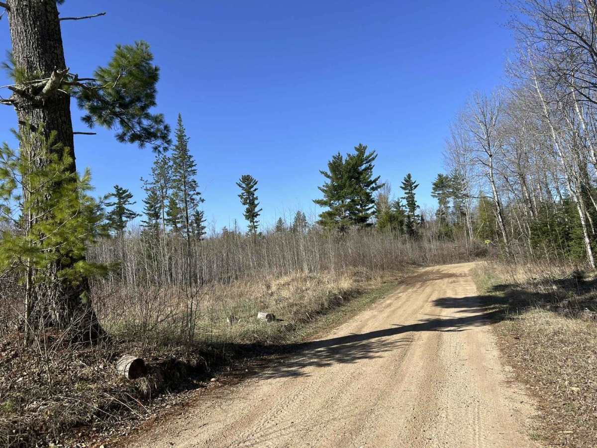 Norway Truck Trail Cassidy Creek Rd photo 4