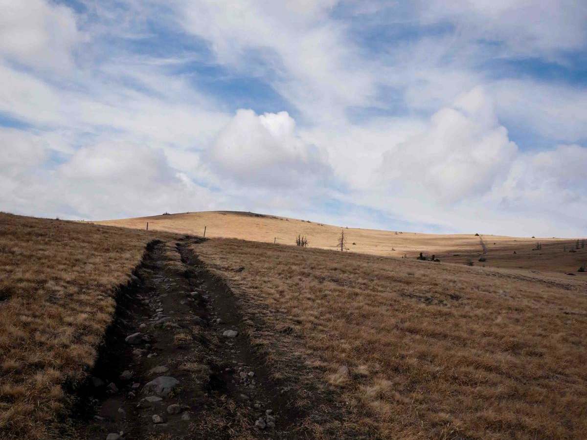 Benino ATV photo 5